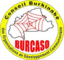 BURCASO